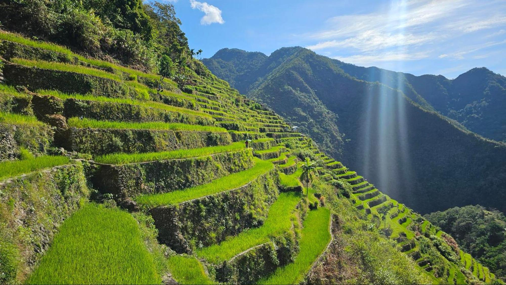 Batad Pension And Restaurant Banaue Bagian luar foto