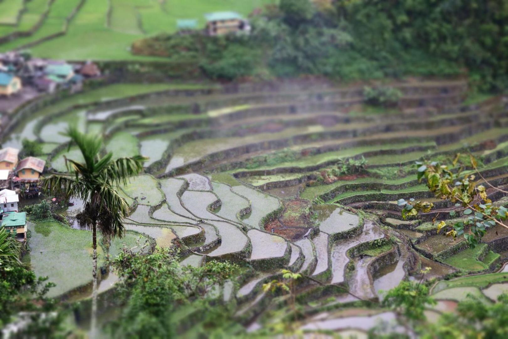 Batad Pension And Restaurant Banaue Bagian luar foto